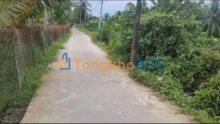 Đất nền Tân Phú Đồng Tháp 4.628m² 400 triệu - Sổ hồng riêng