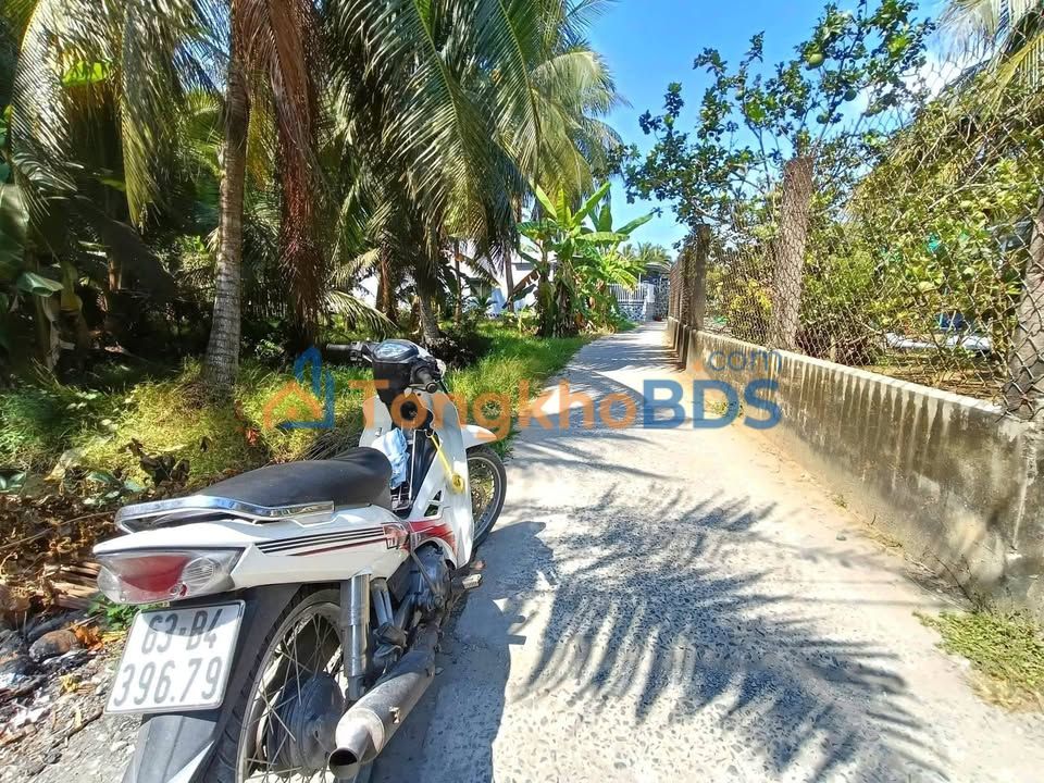 Đất cây lâu năm An Thạnh Thủy 2.400m² 1.92 tỷ - Đường to ô tô