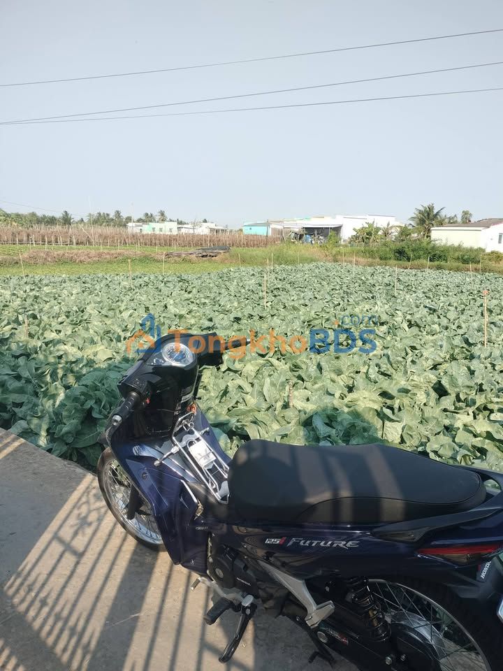 Đất nền Tân Đông Gò Công Đông 144m² 190tr - Giá F0