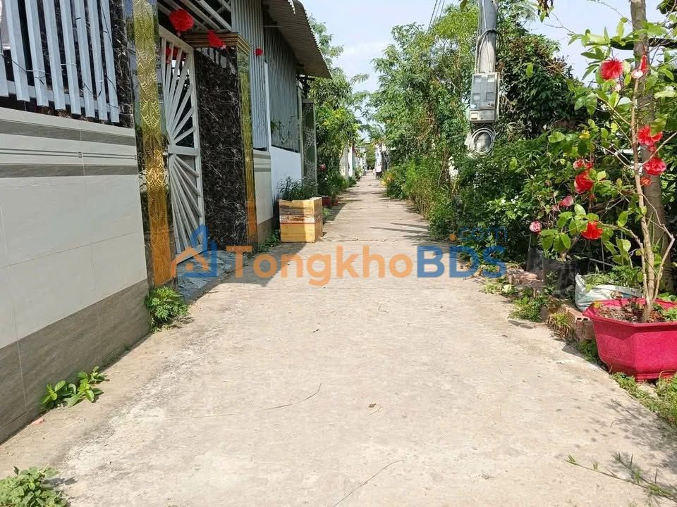 Đất Nền Xã Tân Hương 105m² - Sổ Sẵn, Giá 499 Triệu - Gần KCN Tân Hương