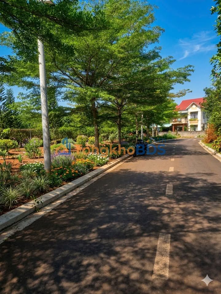 Đất nền Hắc Dịch Phú Mỹ 250m² 1.15 tỷ - Thổ cư 100% Sổ hồng