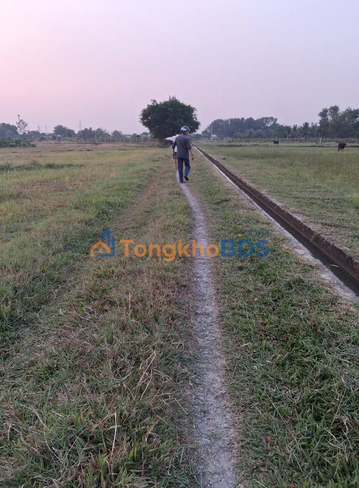 Đất nền Ninh Thanh Tây Ninh 3.600m² - Đầu tư dài hạn