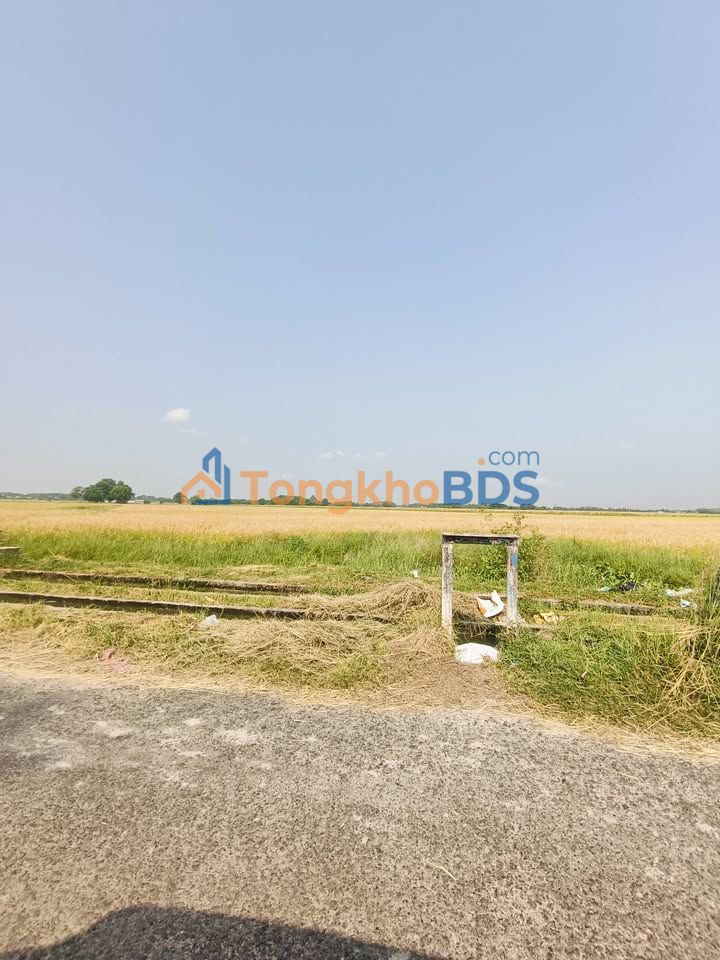 Đất Vườn Tây Ninh 2400m² - 550 Triệu, Mặt Tiền Nhựa Suối Dộp