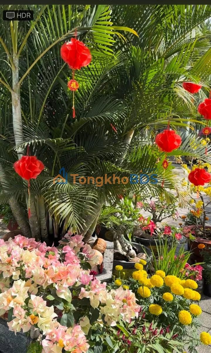 Đất Vườn Nghỉ Dưỡng 1225m² Mặt Tiền Đường Đá Sỏi An Bình, Tây Ninh