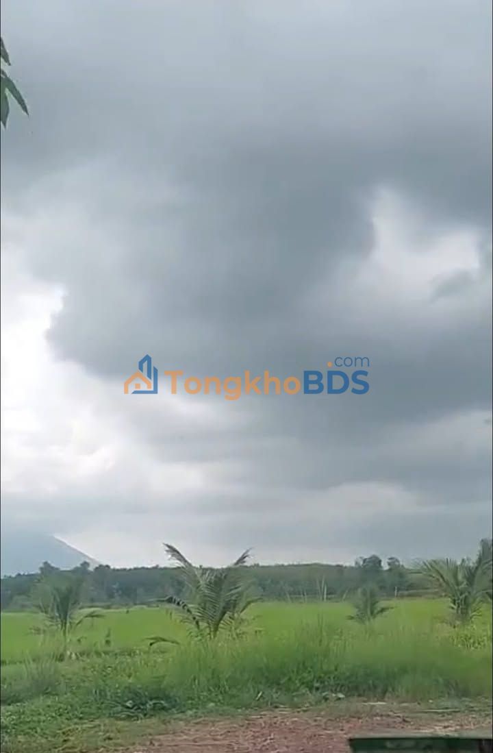 Đất thổ cư 150m² Đồng Khởi, Tây Ninh - Giá 420 triệu, view kênh