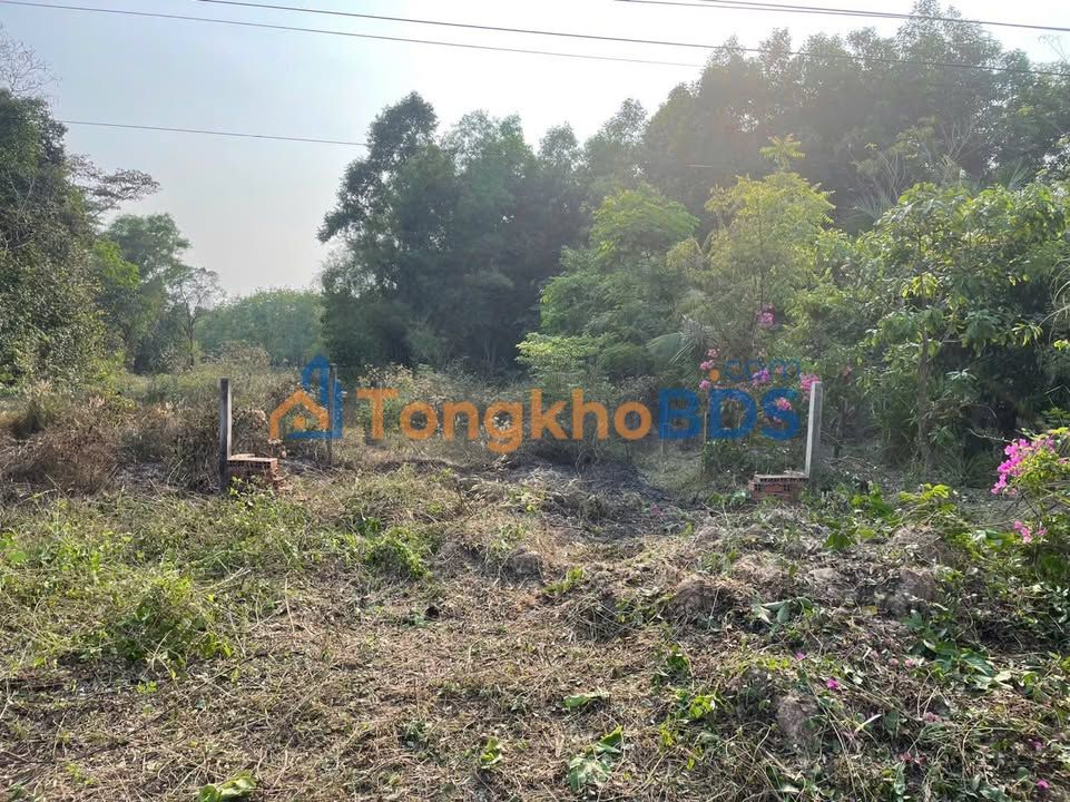 Đất Lộ 788 Phước Vinh 14.19 tỷ 258m² - Pháp lý rõ ràng