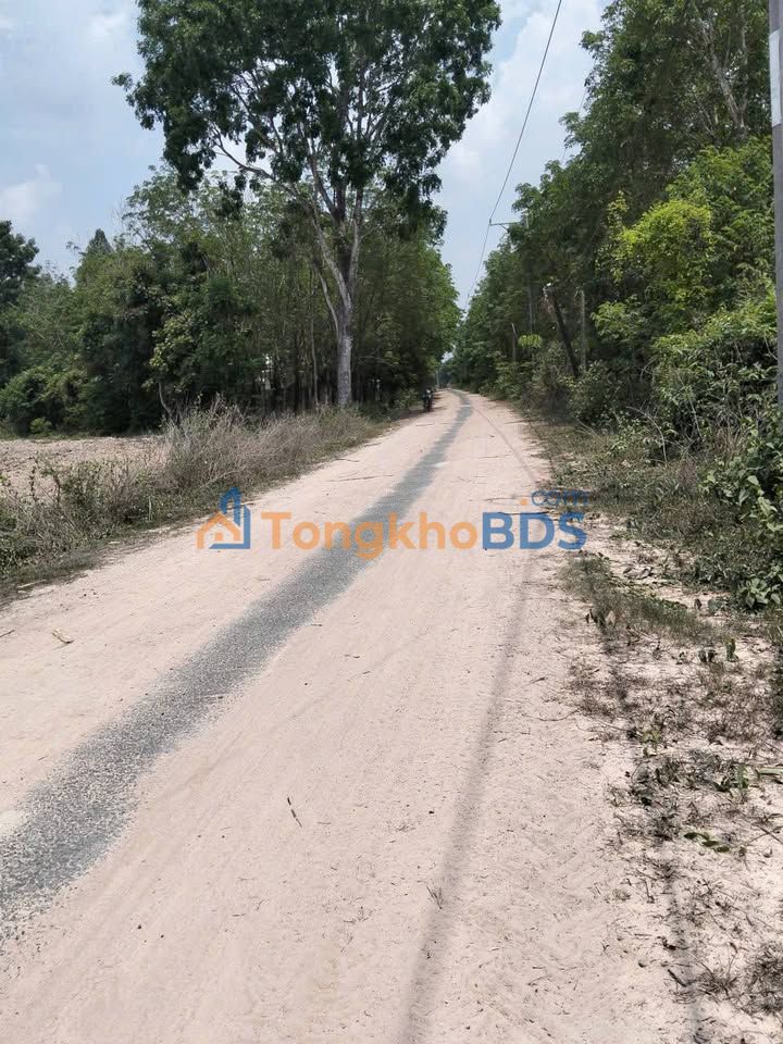 Đất thuê Thạnh Tây Tân Biên 20ha 25tr/ha - Xây dựng tự do