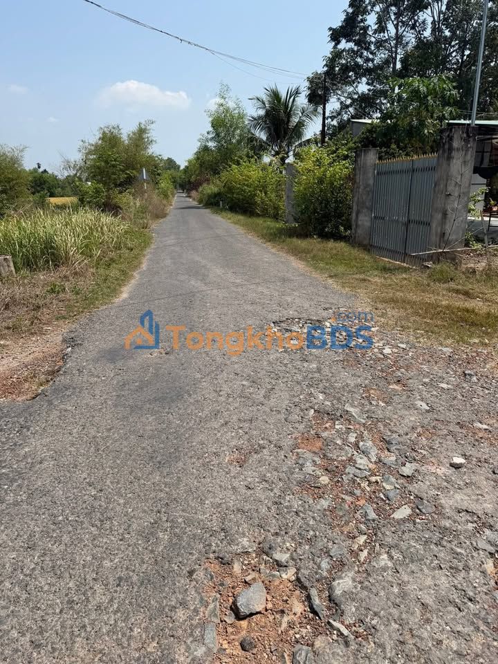 Đất nền Trí Bình Châu Thành 100m² 875 triệu - Hiếm có