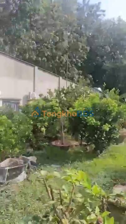 Đất nền Tân Biên Tây Ninh 504m² 3.15 tỷ - Phù hợp biệt thự