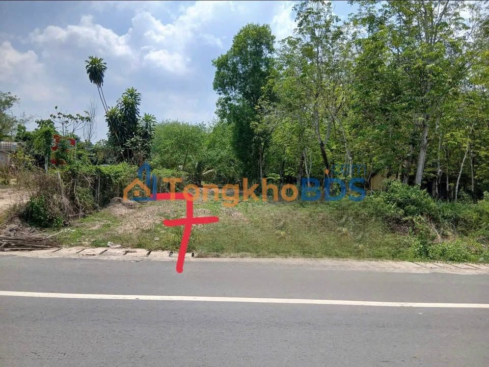 Bán đất mặt tiền ĐT.789, Trảng Bàng, Tây Ninh - 289m² full thổ cư, 1.65 tỷ