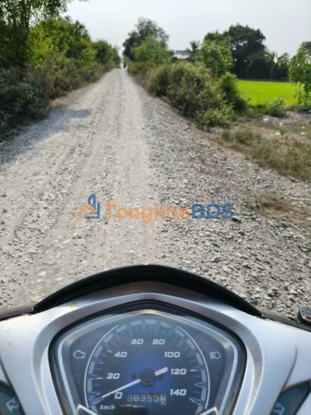 Đất Vườn Long An 2.5ha - Mặt Tiền Kênh, Sẵn Sàng Chuyển Thổ Cư