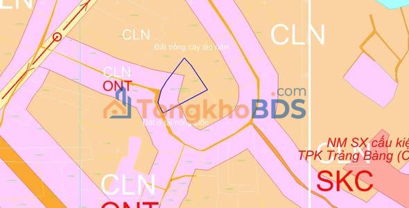 Đất nền Hưng Thuận Tây Ninh 10.009m² giá 8 tỷ - Sổ hồng sẵn