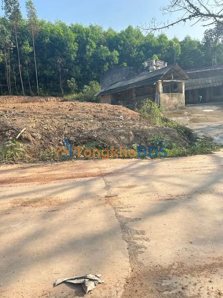 Đất Nền Yên Thế - Bắc Giang 1050m² Sổ Hồng Sẵn Sàng