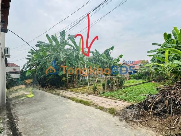 Bán Đất Thổ Cư Lạng Giang 117m² - Đường Ô Tô Thông Thoáng