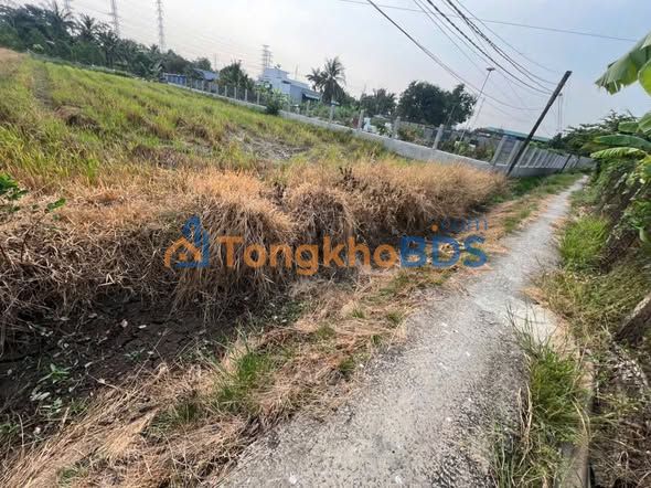 Đất nền Thạnh Đức Bến Lức 1000m² 950tr - Sổ hồng riêng