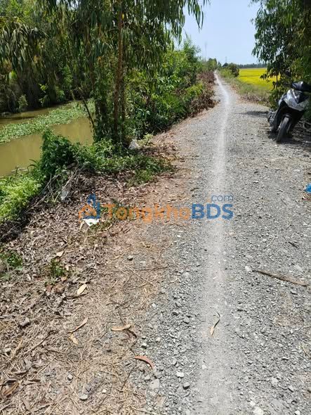 Đất Lúa Long An 2.8ha - Đầu Tư Sinh Lời Hấp Dẫn Tại Thủ Thừa