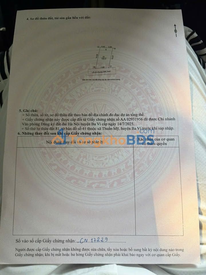 Đất nền Thuần Mỹ Ba Vì 100m² 700 triệu - Đường to ô tô