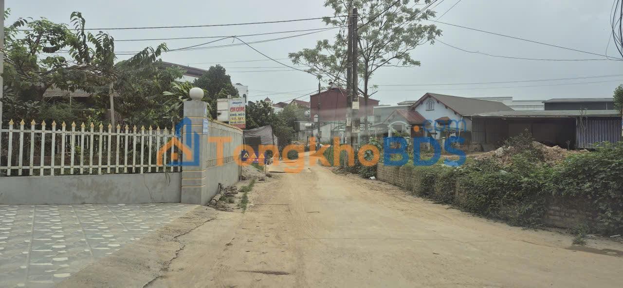 Đất nền Nguyễn Thái Học 124m² 1 tỷ - Giá tốt hiếm có