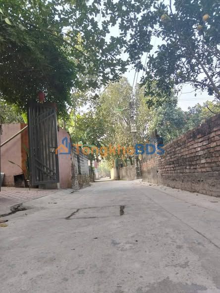 Đất Vạn Phúc Thanh Trì 50m² - Ngõ Ô Tô Thông, Sổ Đỏ Chính Chủ