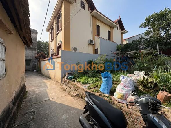 Đất Tô Hiệu Thường Tín 56m² 4x triệu - Tiềm năng tăng giá