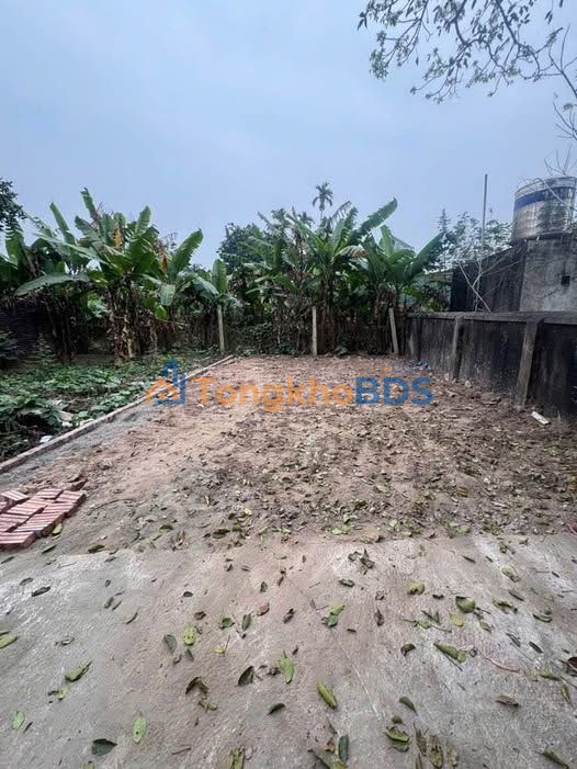 Bán đất Nam Phù Cận Sông Hồng 52.5m² – Ngõ Ô tô – 2.4 Tỷ