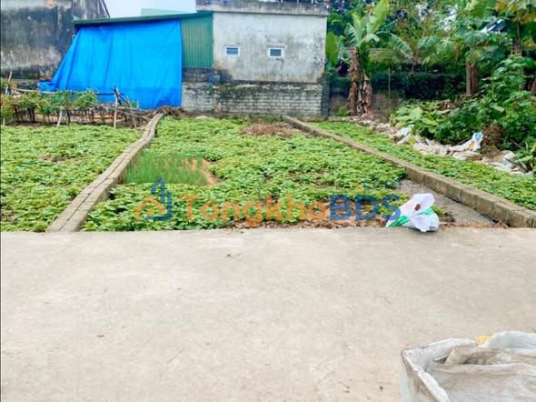 Đất nền Vân Đình 50m² 1.6 tỷ - Sổ đỏ chính chủ