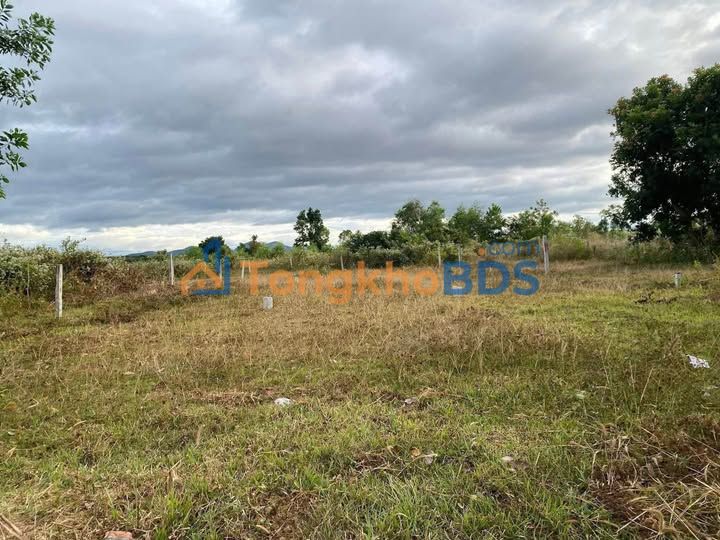 Đất Nền Mặt Tiền Đường Nhựa Thôn 9 Sa Thầy - 200m² Hướng Bắc Giá Tốt