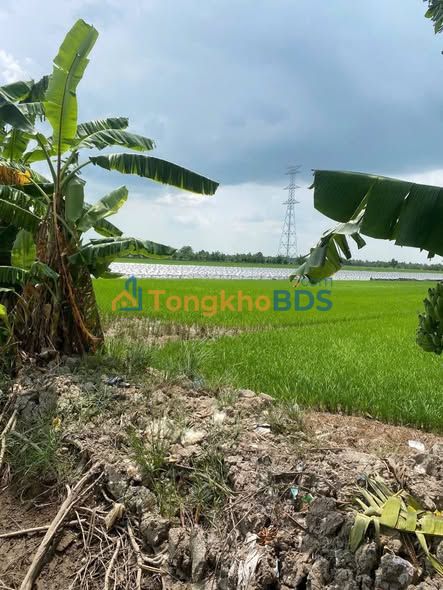 Đất nền Định Môn Ô Môn 593m² giá 1 tỷ - Tiềm năng tăng giá