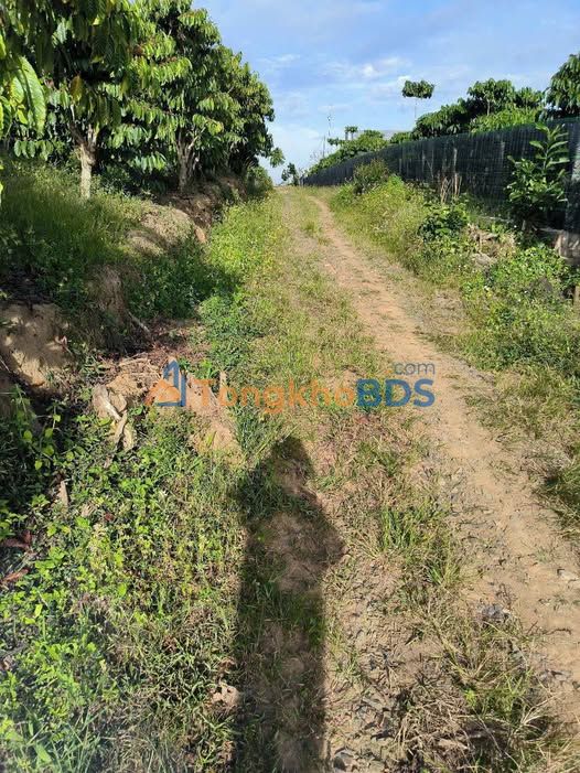 Đất Nền 2 Mặt Tiền Quốc Lộ 20, Bảo Lộc - 2665m² Giá 5.5 Tỷ