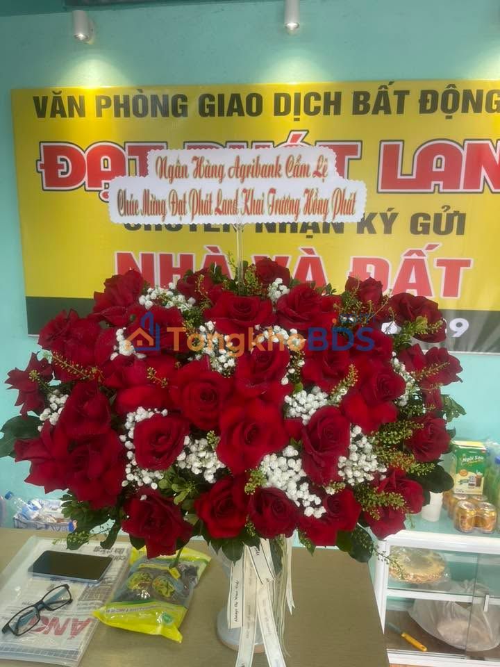 Đất nền Hòa Xuân Đà Nẵng 120m² 3 tỷ Sổ đỏ chính chủ