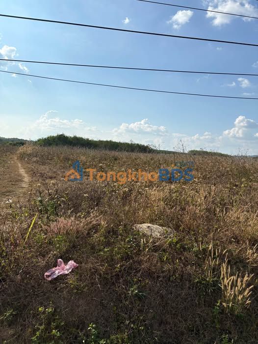 Đất Mặt Đường Nhựa Huyện Sa Thầy 145m² - Giá Đầu Tư 400 Triệu