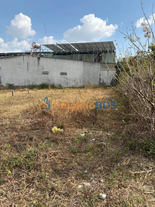 Đất Nền 8x30m Hẻm Thu Bồn, Đắk Hà - Giá Yêu Thương Đầu Năm