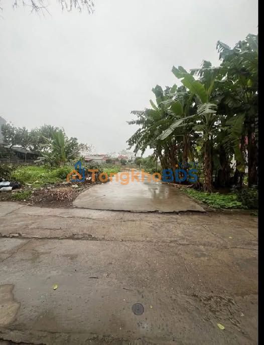 Đất nền Chương Dương Thường Tín 43m² 3.3 tỷ - Sổ đỏ chính chủ