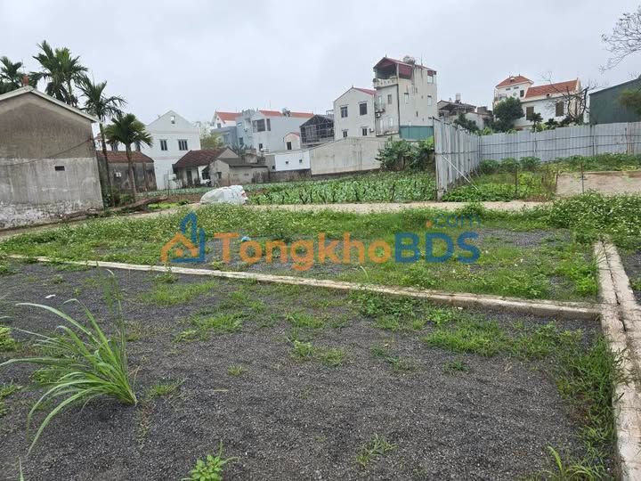 Đất nền Ân Thi, Hưng Yên 90m² - Đường thông, ô tô tải vào sát đất