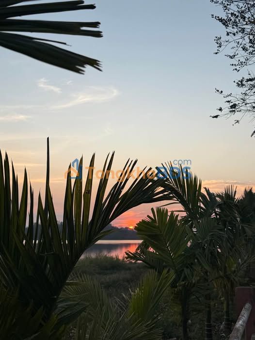 Đất Đức Minh Đắk Mil 12ha 24 tỷ - Sổ đỏ chính chủ