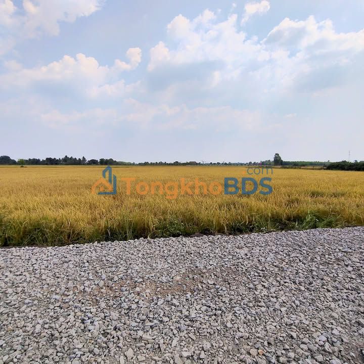 Bán đất 1000m² mặt tiền rộng, sát QL22, TP Tây Ninh - 2.x tỷ