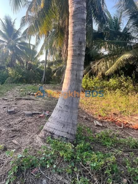 Đất nền Châu Hưng Vĩnh Long 266m² 550 triệu - Sổ đỏ chính chủ