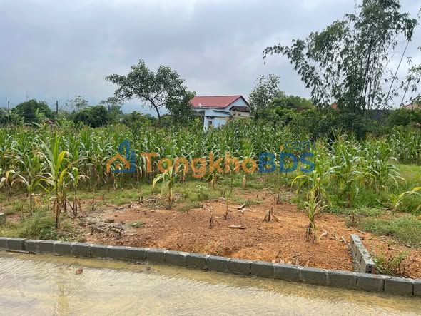 Đất nền Tam Sơn 117m² Thanh Sơn - Sổ đỏ chính chủ