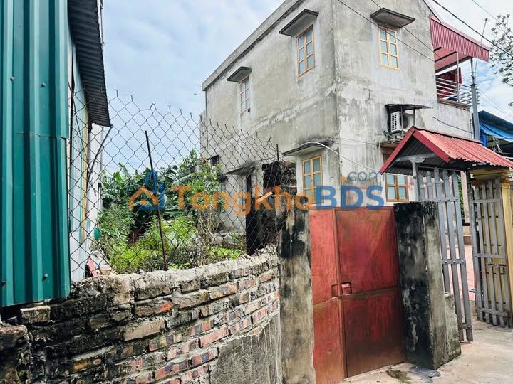 Đất nền Thanh Trì 59m² - Ngõ ô tô, hơn 3 tỷ, Sổ đỏ chính chủ