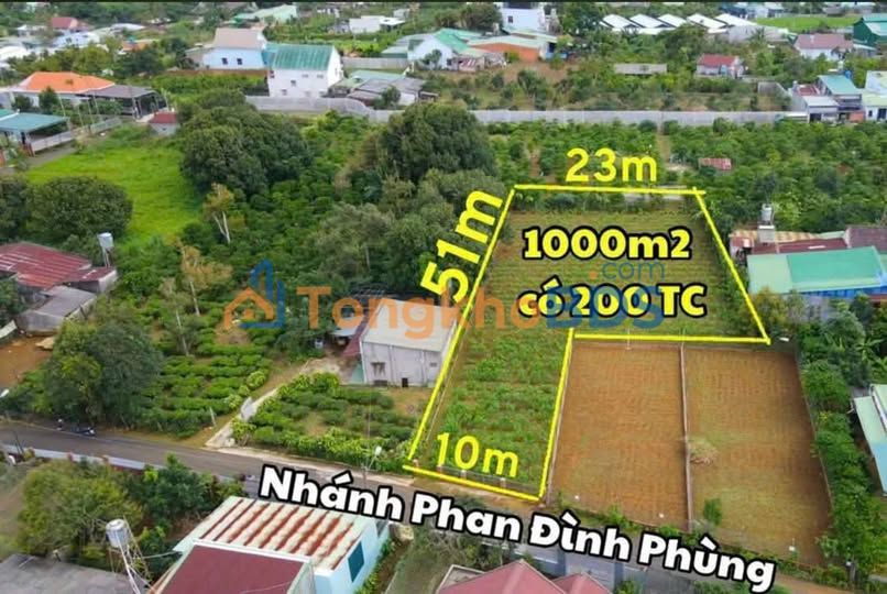 Đất nền Phan Đình Phùng Bảo Lộc 1.100m² 6.5 tỷ - Đường to ô tô