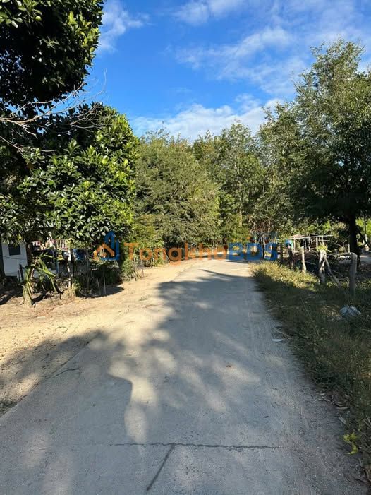 Đất Nền Xã Ia Khươl, Gia Lai - 200m² Giá Chỉ 270 Triệu - Sổ Đỏ Rõ Ràng