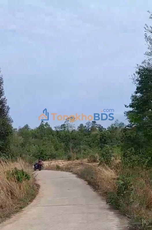 Bán Đất Nền 10000m² Xã Đắk Kroong, Đắk Glei, Kon Tum - Sẵn Sàng Trồng Trọt