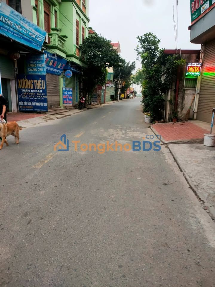 Đất Kinh Doanh Mặt Tiền 5m Nam Quất, Phú Xuyên - 4.2 Tỷ