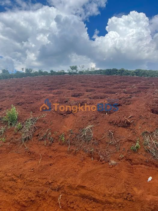 Đất nền Hoài Đức Lâm Hà 9.500m² 2.2 tỷ - Sổ đỏ chính chủ