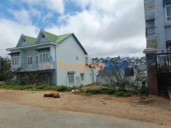 Bán Đất Biệt Thự Mặt Tiền Cao Thắng, Đà Lạt 300m² - Sẵn Sàng Xây Dựng