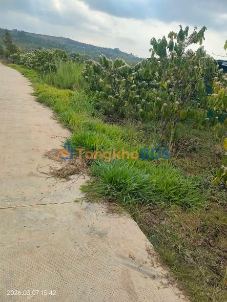 Đất nền Tân Văn Lâm Hà 2167m² 4.8 tỷ - Xây dựng tự do