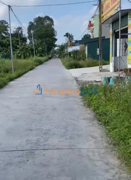 Đất nền Tứ Kỳ, Hải Dương 100m² - Hướng Đông Nam, Kinh doanh sầm uất