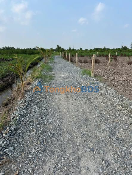Đất vườn Tân Thành Thủ Thừa 2.000m² 880 triệu - Đầu tư dài hạn