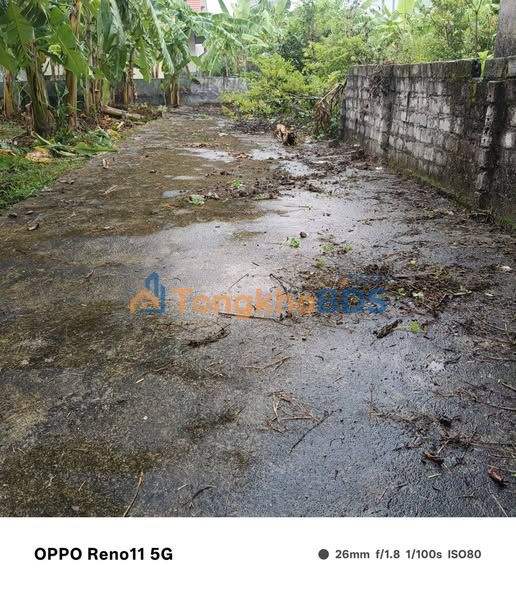 Đất nền An Thanh Tứ Kỳ 87m² 350tr - Xây dựng tự do