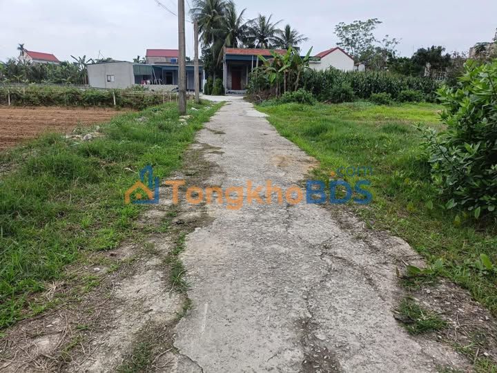 Đất Nông Cống 700m² Full Thổ Cư - Ô tô Tận Nơi, Sổ Hồng Sẵn Sàng